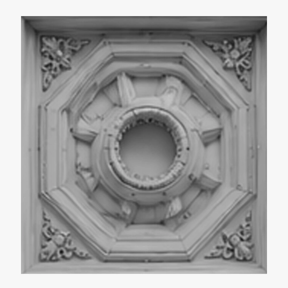 Carved Foam Ceiling Systems 8